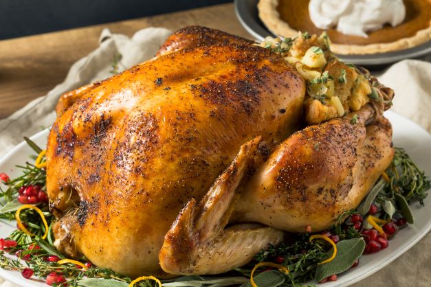 Just the Turkey